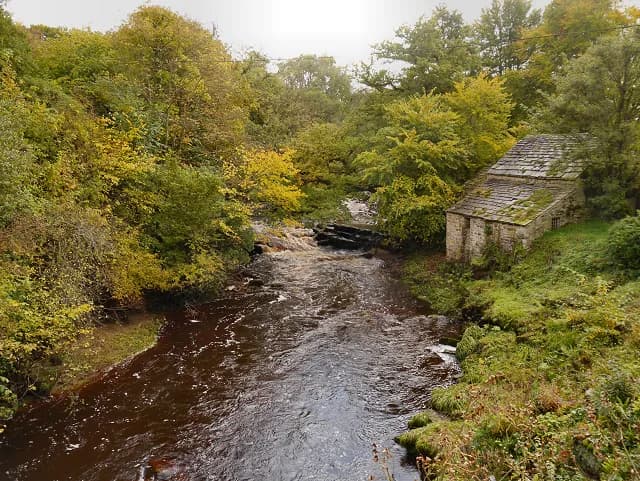 A flowing river with vibrant autumn foliage along its banks, leading to an old stone building with a mossy roof hidden in dense trees.
