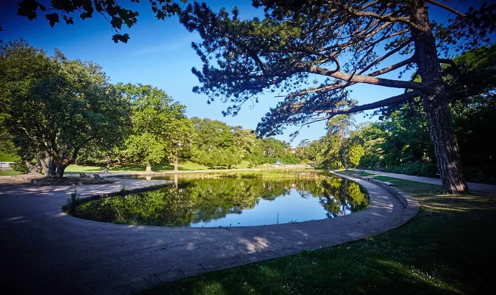 A serene park scene with a large pond reflecting the surrounding trees and clear blue sky.