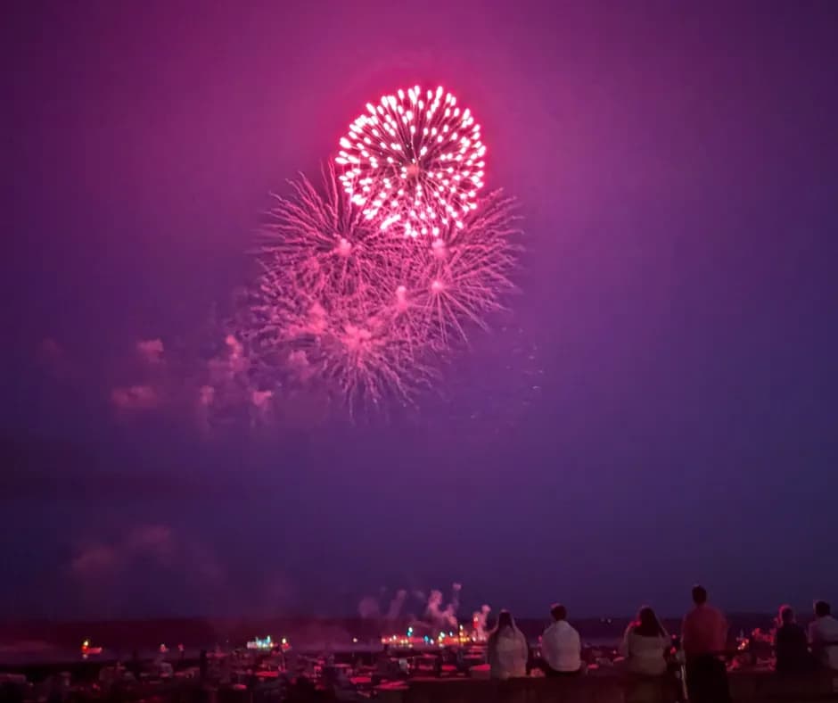 A magenta fireworks display bursts across a dark purple sky with people watching from below, silhouetted against the bright city lights of the waterfront.