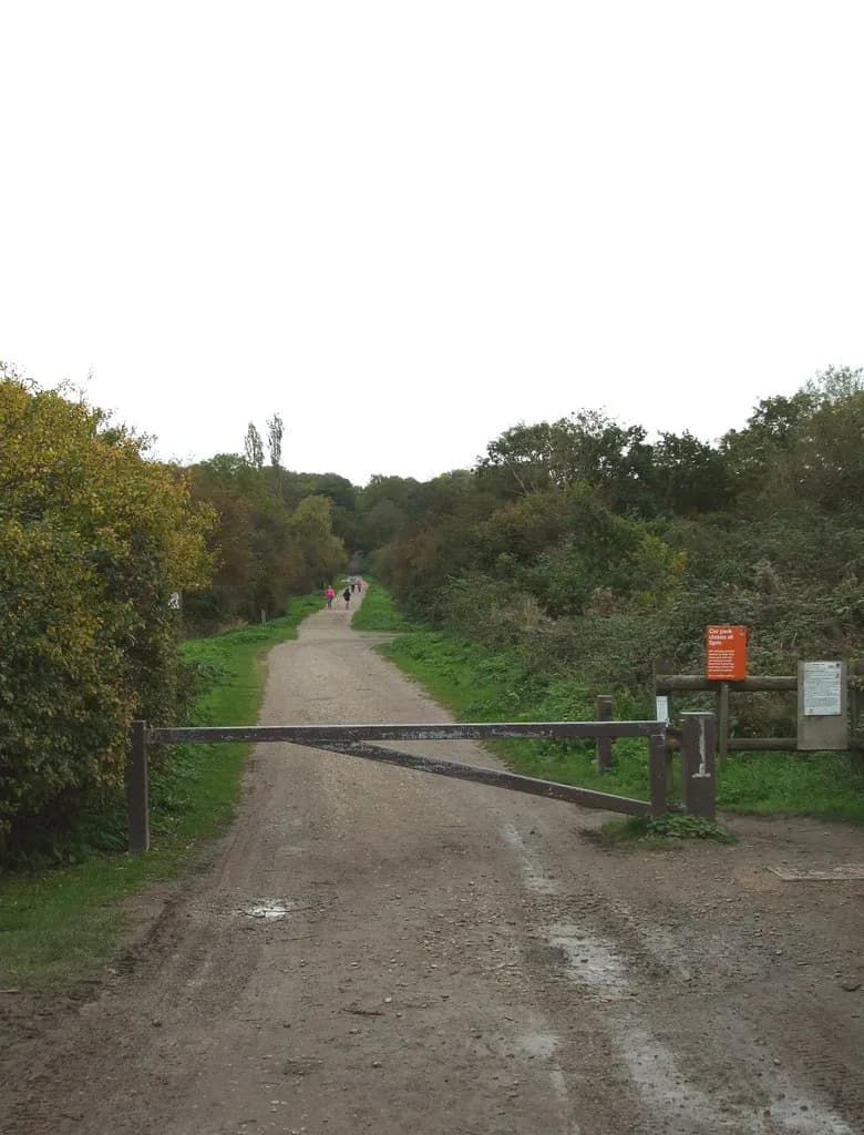 A dirt path through a wooded area with an open gate in the foreground and people walking in the distance.