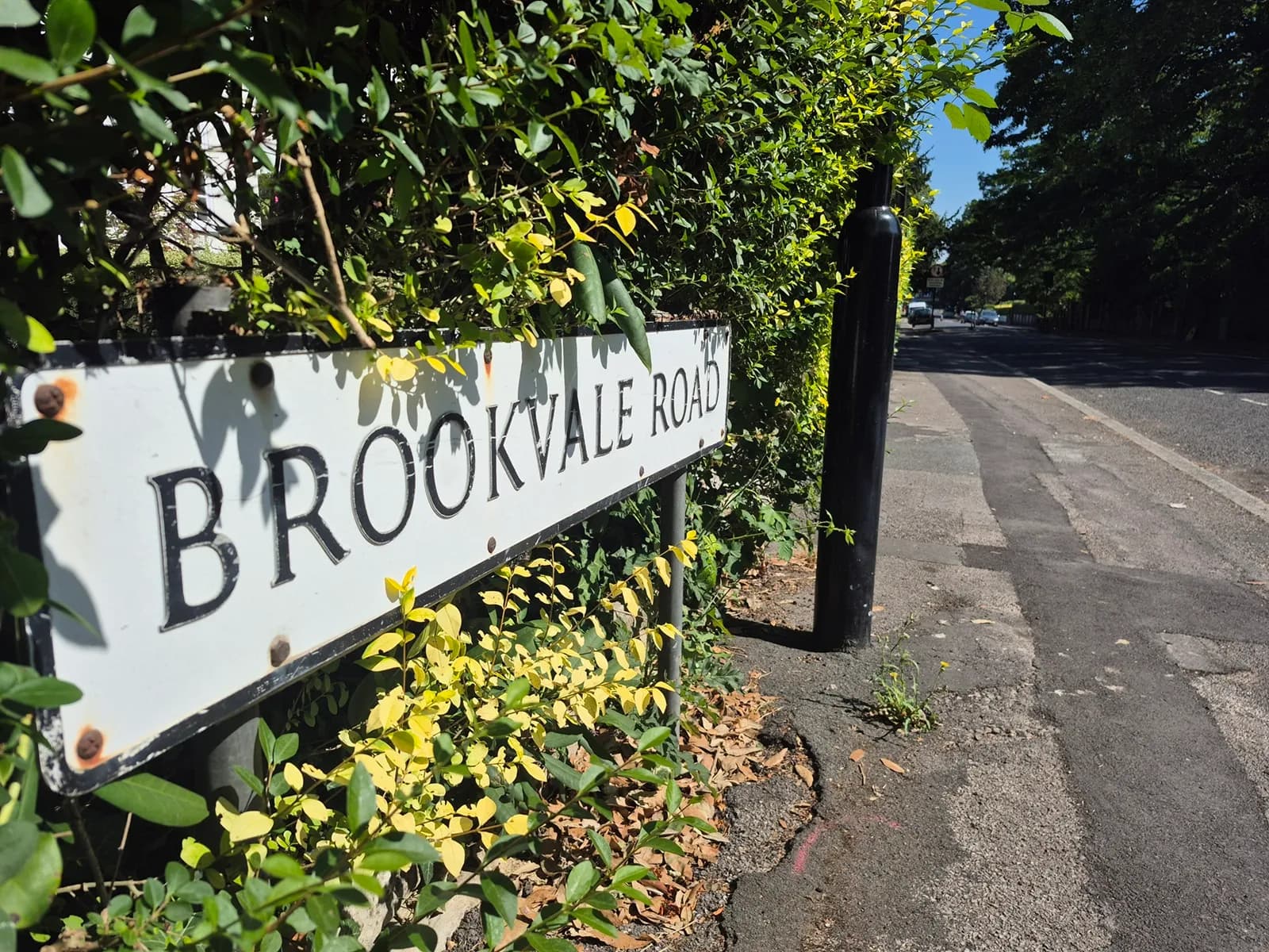 A white street sign with the words 'BROOKVALE ROAD' in black lettering, partially obscured by green and yellow foliage, next to a paved road and lush green bushes on a sunny day.