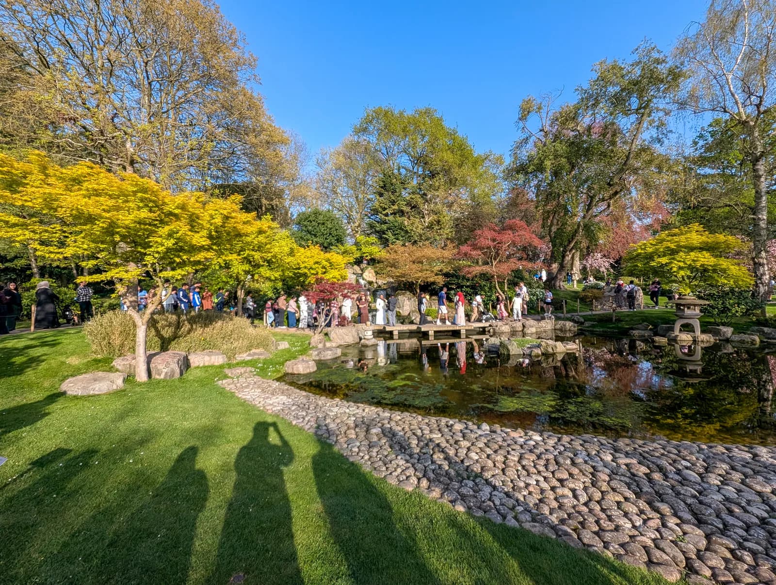 People gather along the edge of a pond with a paved stone path in an autumn garden with vibrant yellow and orange trees under a clear blue sky.
