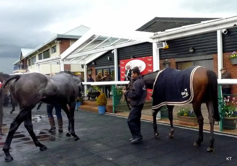 Two horses with handlers standing on a paved area outside a building, with one horse covered by a dark blanket with a logo.
