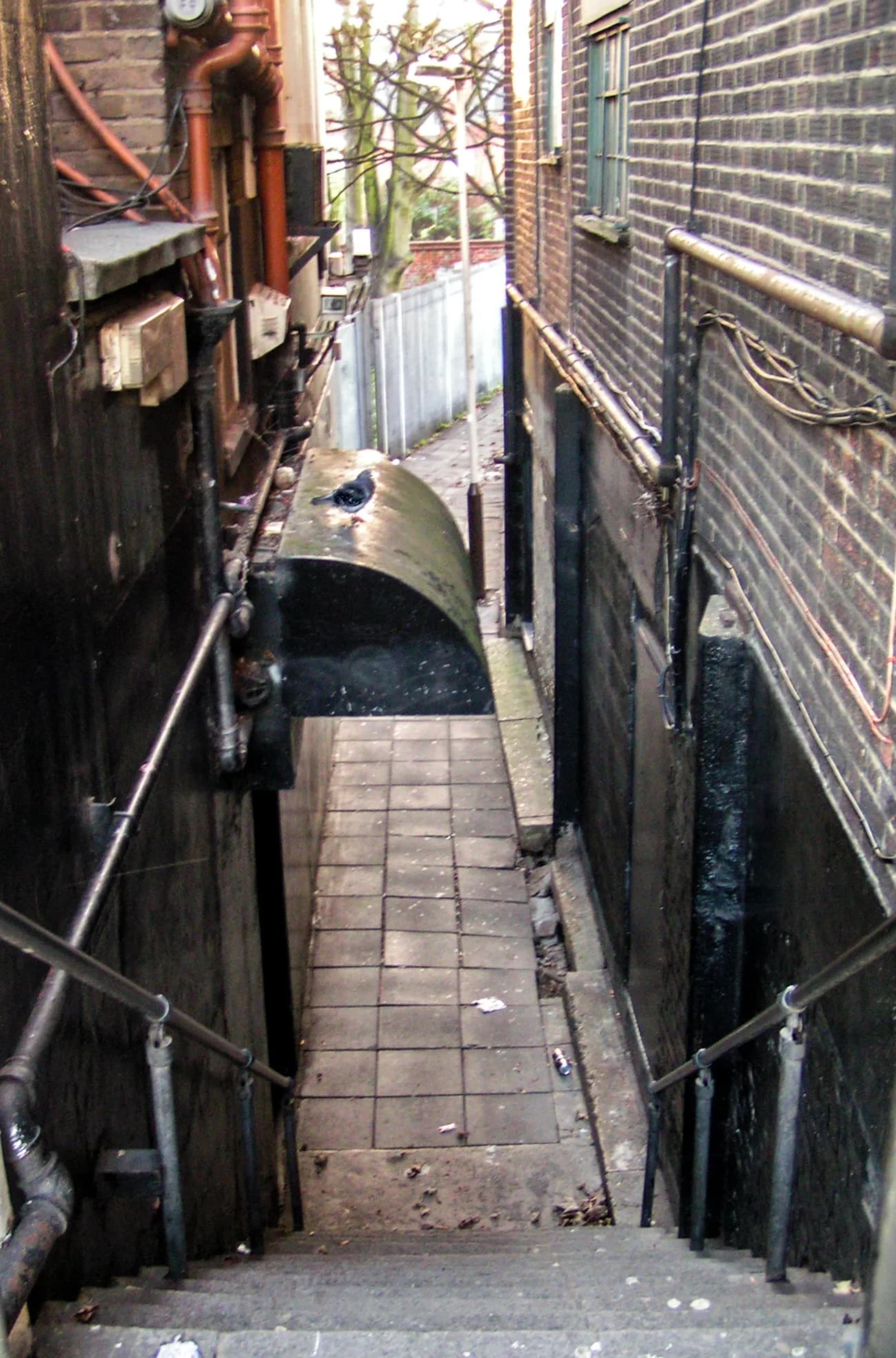A pigeon perched on a low, arched ceiling in a narrow alleyway with brick walls and steep concrete steps leading down.