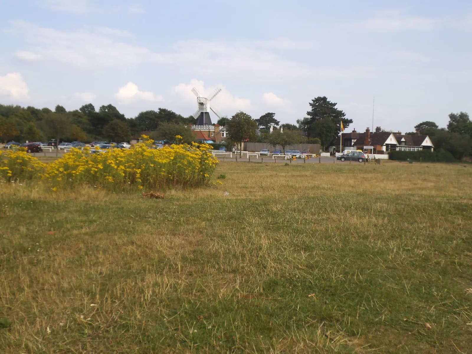 A landscape view with a field of dry and green grass in the foreground, vibrant yellow wildflowers in the midground, and a white windmill with dark accents visible behind a line of trees in the background under a partly cloudy sky.