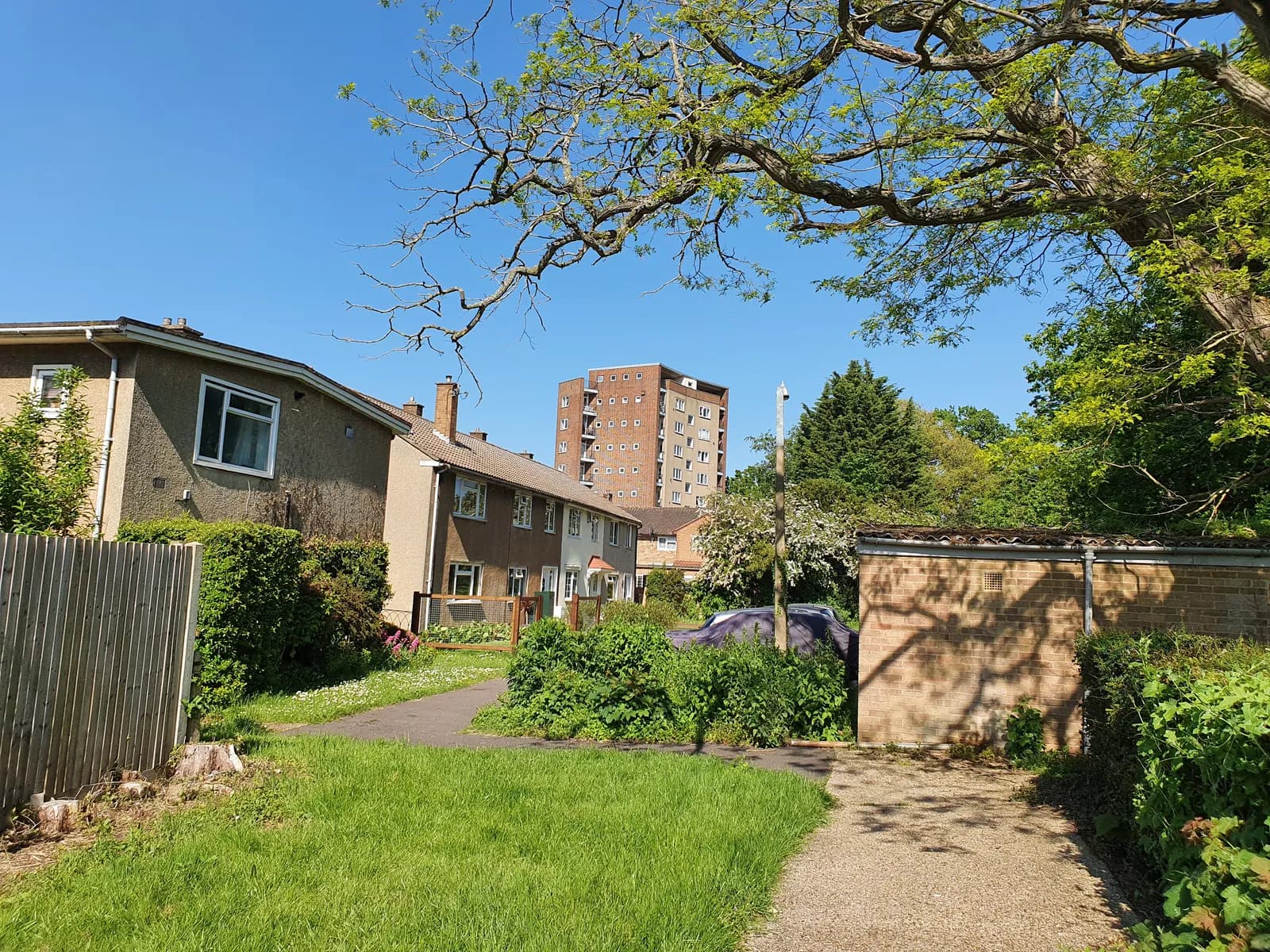 A neighborhood scene with residential houses and a tall building in the background under a blue sky, surrounded by green trees and bushes.