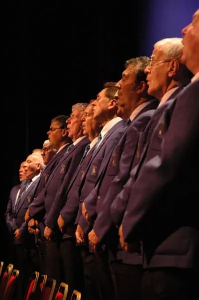 A line of men in purple blazers and ties, singing with their mouths open, bathed in stage light.