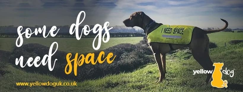 A brown dog wearing a yellow vest that says "I NEED SPACE" stands in a grassy field with hills in the background, promoting the Yellow Dog UK organization.