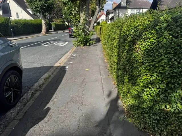 A gray car is parked on the side of a street next to a sidewalk and a tall green hedge under a bright sky.