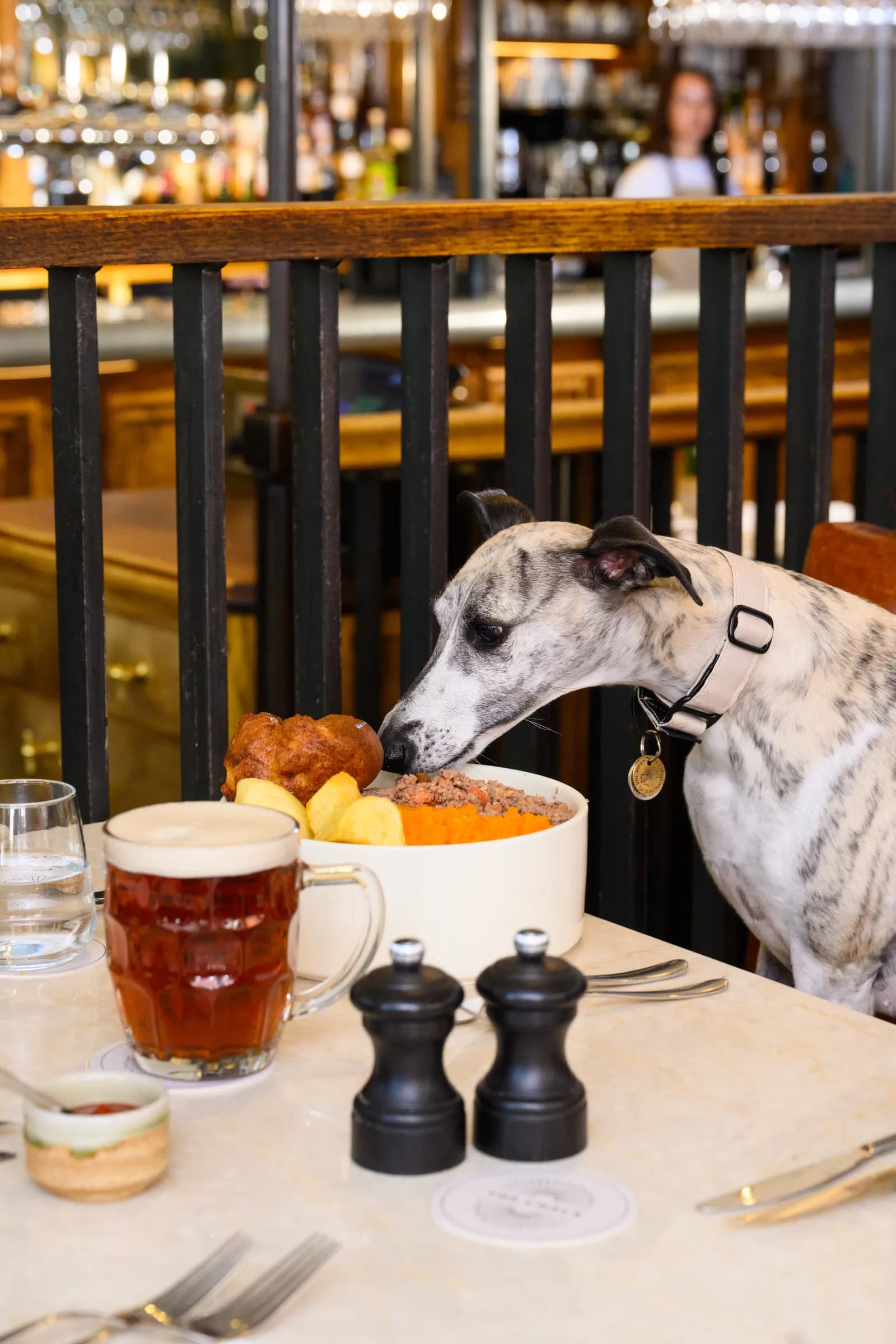 A brindle whippet dog with a light pink collar and a golden tag sniffing a white bowl of food on a table in a pub, with a beer mug and salt and pepper shakers also on the table.