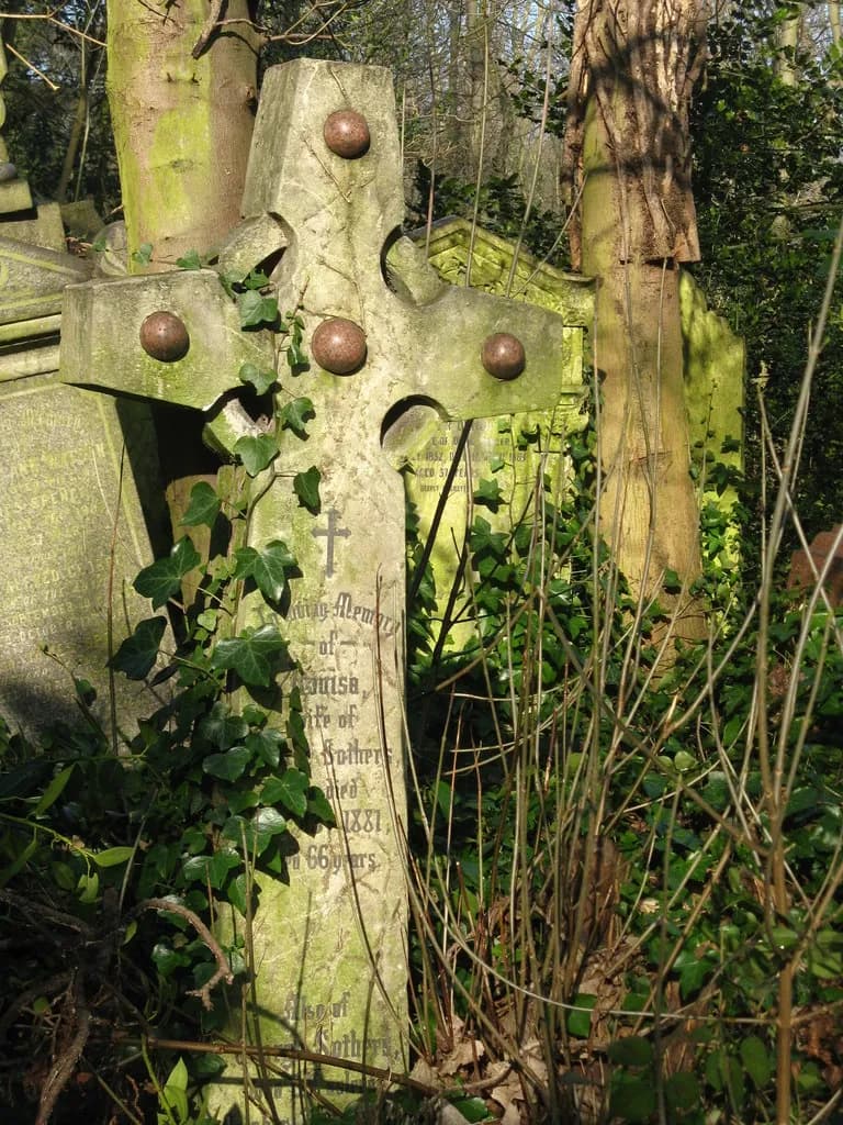 A moss-covered stone cross, adorned with circular bosses and draped in ivy, stands amidst other weathered tombstones and bare branches in a sun-dappled graveyard.