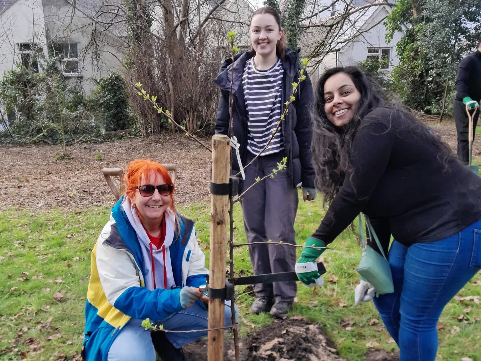 Three women plant a small tree in a grassy area with a building in the background.