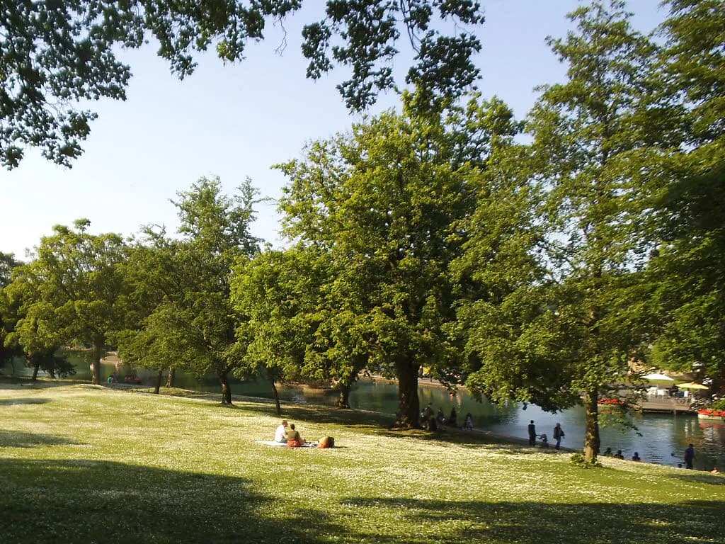 A wide shot of a park with people relaxing on a grassy lawn next to a lake surrounded by lush green trees on a sunny day.