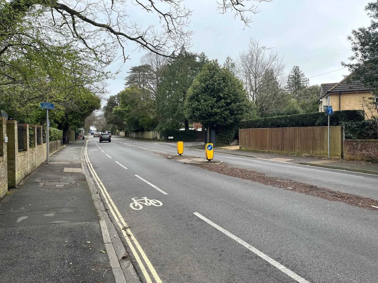 A quiet road with a bike lane on the left, flanked by a sidewalk and brick wall, and houses hidden behind trees and a wooden fence on the right.