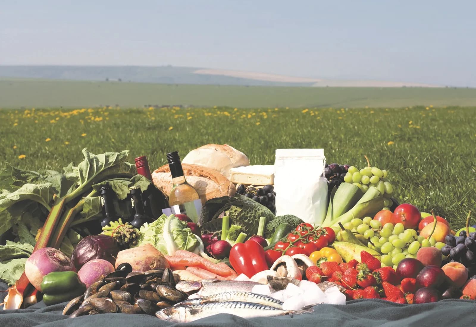An abundance of fresh produce, including vegetables, fruits, fish, and baked goods, is spread out on a cloth in a grassy field under a bright sky.