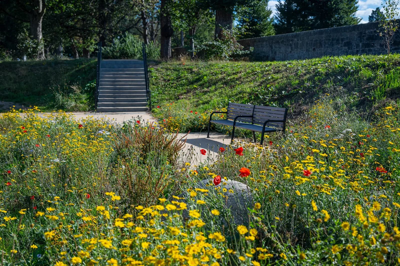 A serene park scene features a path leading to concrete steps, surrounded by vibrant yellow and red wildflowers, with a dark grey park bench on the right.