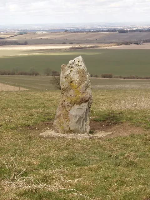 A monolithic standing stone covered in moss and lichen rises from a grassy field, with a broad agricultural landscape and distant town under a cloudy sky in the background.