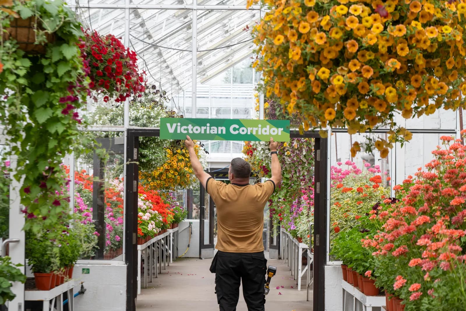 A person viewed from behind holds up a green sign that reads "Victorian Corridor" inside a glass greenhouse filled with blooming flowers in hanging baskets and along shelves.