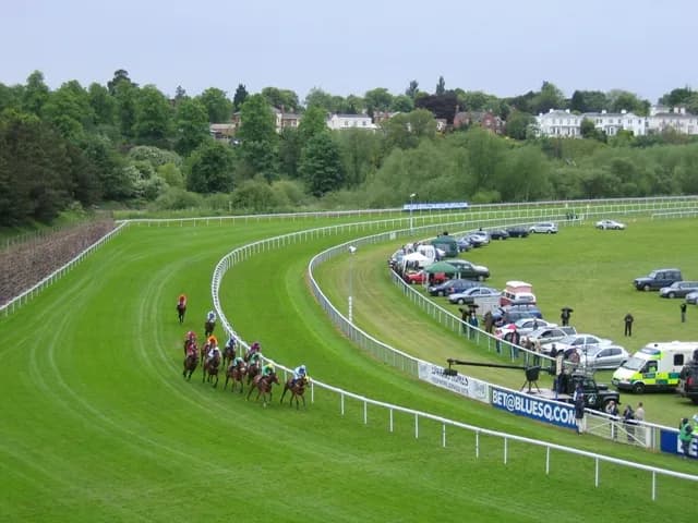 Several horses with jockeys riding them are running on a vibrant green grass racetrack during a cloudy day, with forested hills and white buildings in the background.