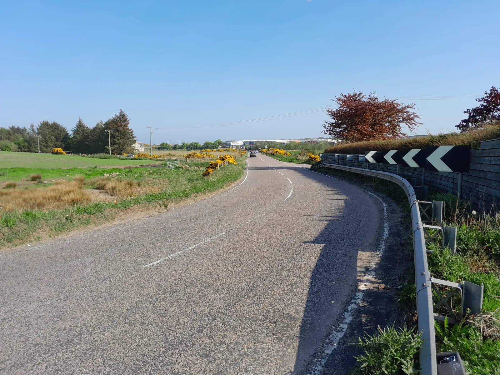A rural road curves to the right, bordered by a metal barrier and chevron signs pointing right, with a field of green and yellow gorse bushes on the left under a clear blue sky.