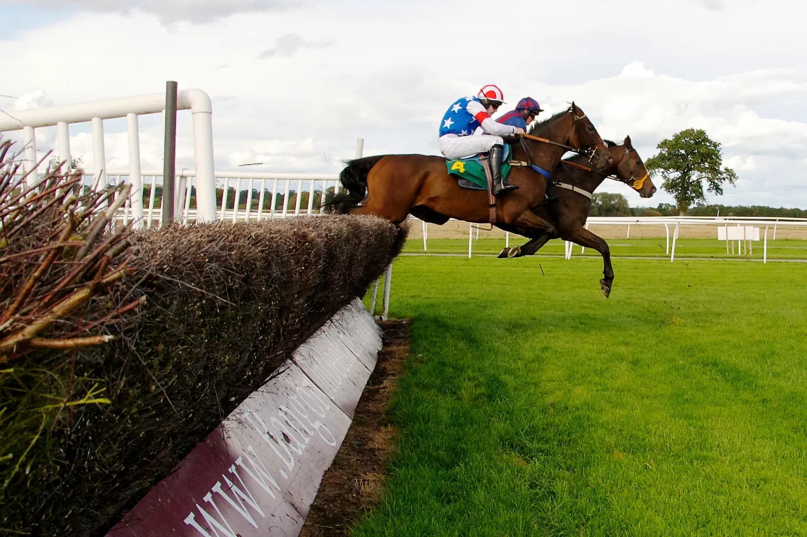 Two jockeys on horseback leap over a hedge obstacle during a horse race, with green grass and a white fence in the background under a cloudy sky.