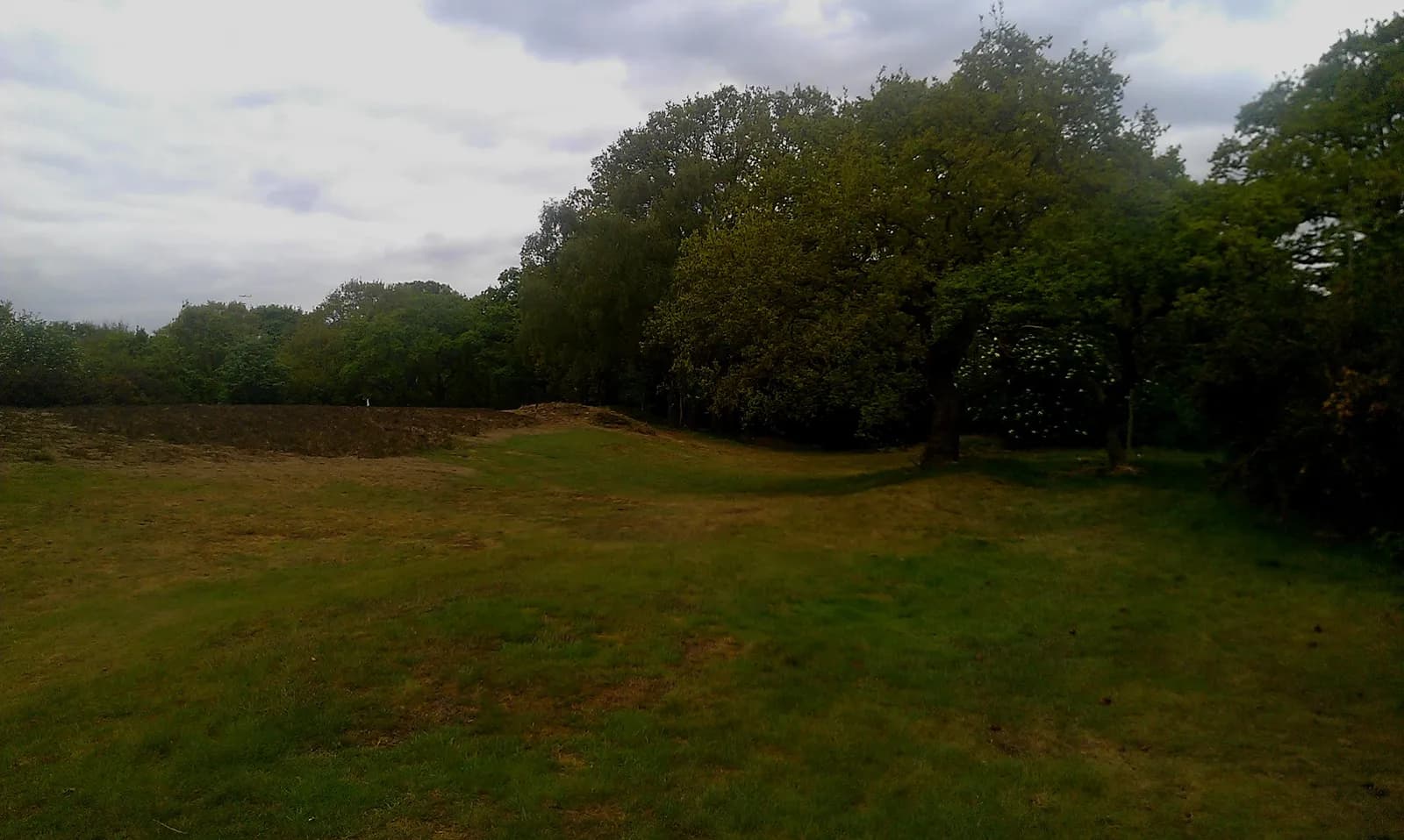 A wide shot of a grassy field with a line of tall trees in the background under a cloudy sky.