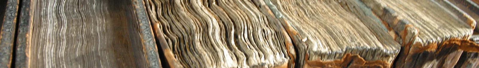 Close-up of the rough and wavy edges of old, worn book pages, with a sepia tone.