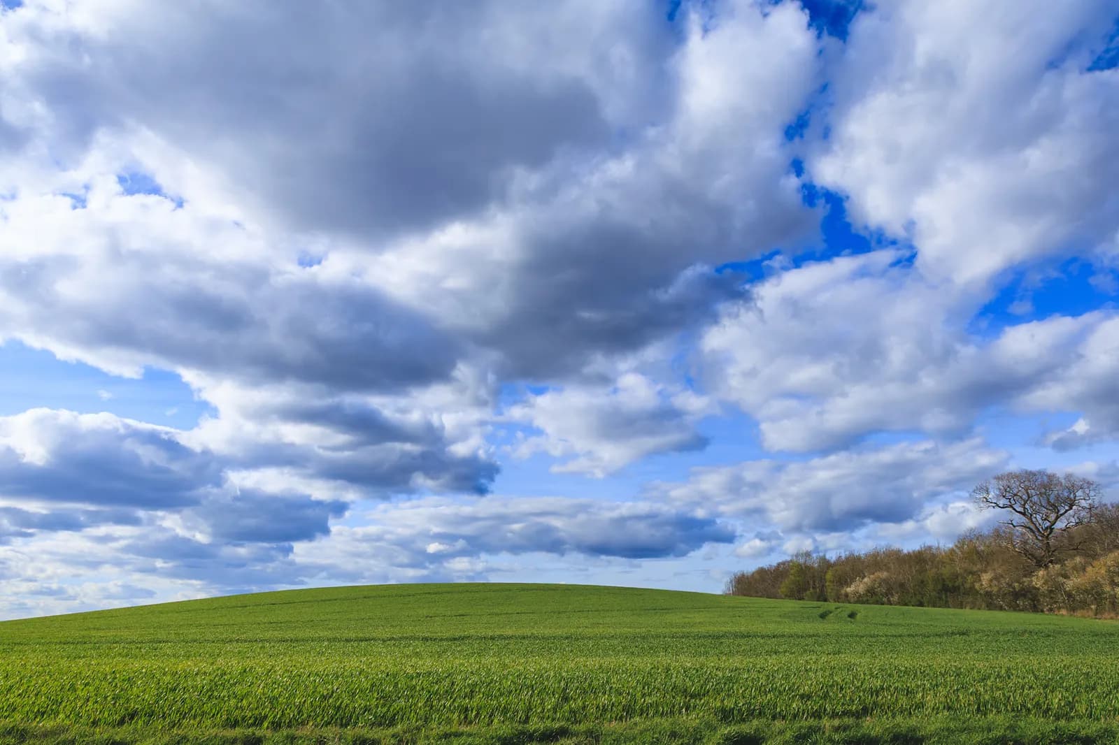 A vibrant green field rises into a gentle hill under a sky filled with dramatic white and grey clouds, with patches of blue sky peeking through.