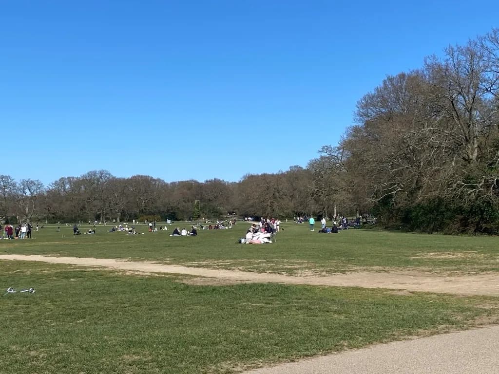 A wide, sunlit green field is dotted with numerous small groups of people relaxing on the grass under a clear blue sky, with a line of bare trees in the background.