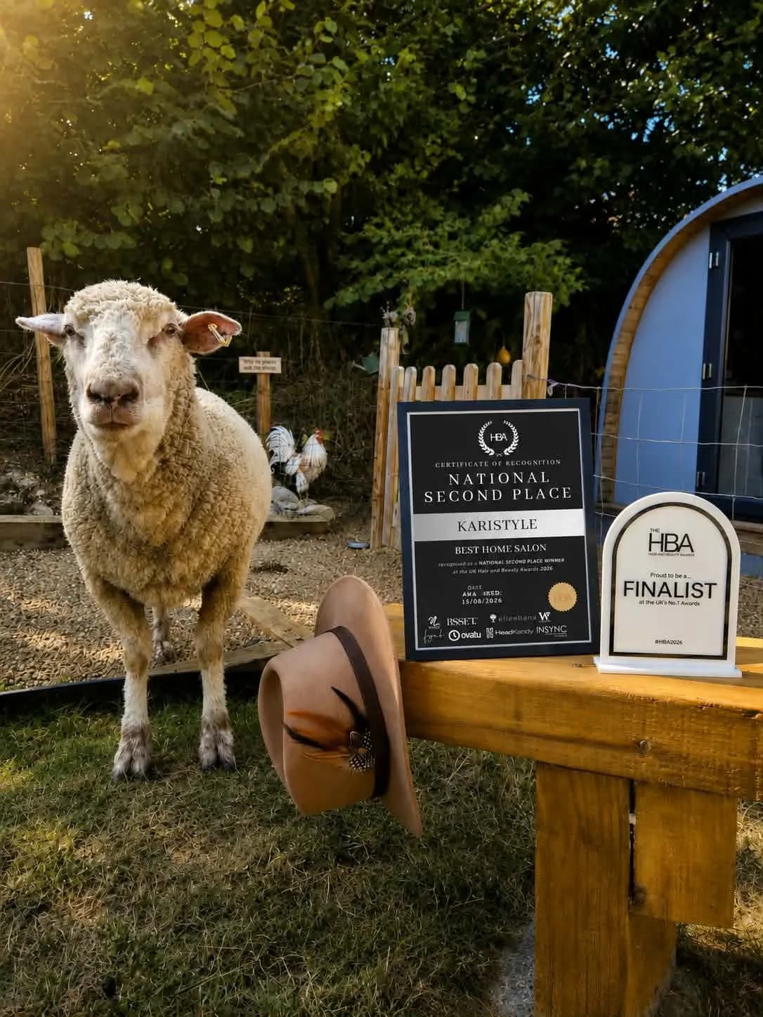 A sheep stands on green grass next to a wooden bench with a cowboy hat and two award plaques, with a small blue building and trees in the background.