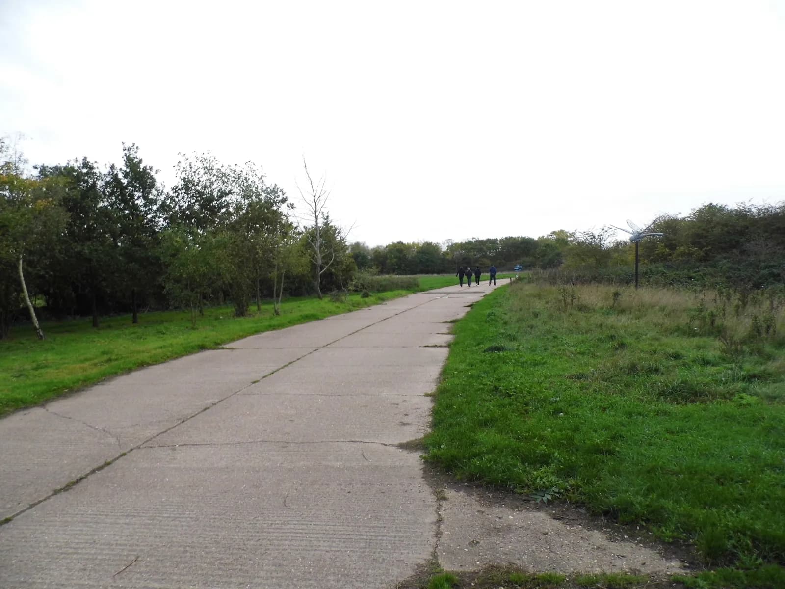 A group of people walk down a concrete path lined with green grass and trees under a cloudy sky.