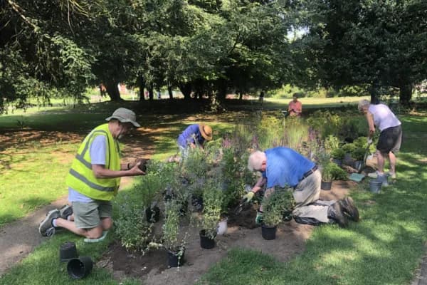 Several people are planting small bushes into the ground. One man in a yellow vest and hat is on the left kneeling and holding a small plant.