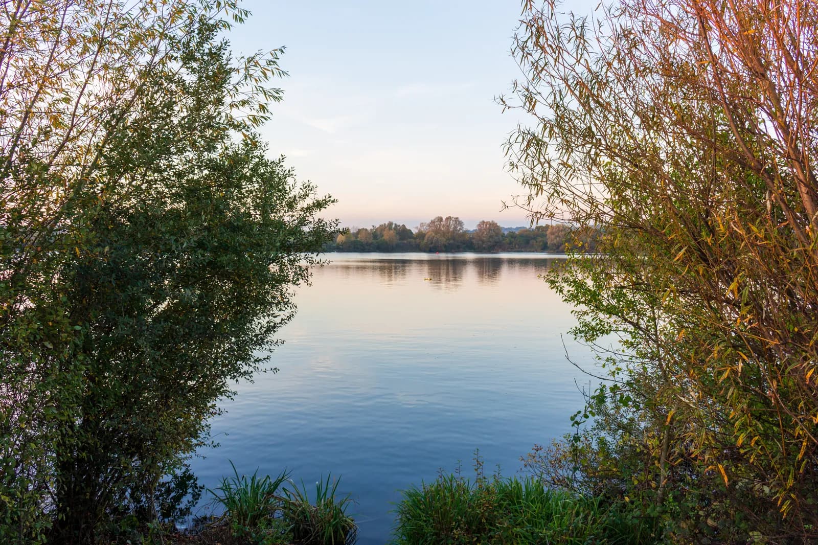 A serene lake view with trees framing the foreground on either side, reflecting the clear sky and distant trees on the far bank.