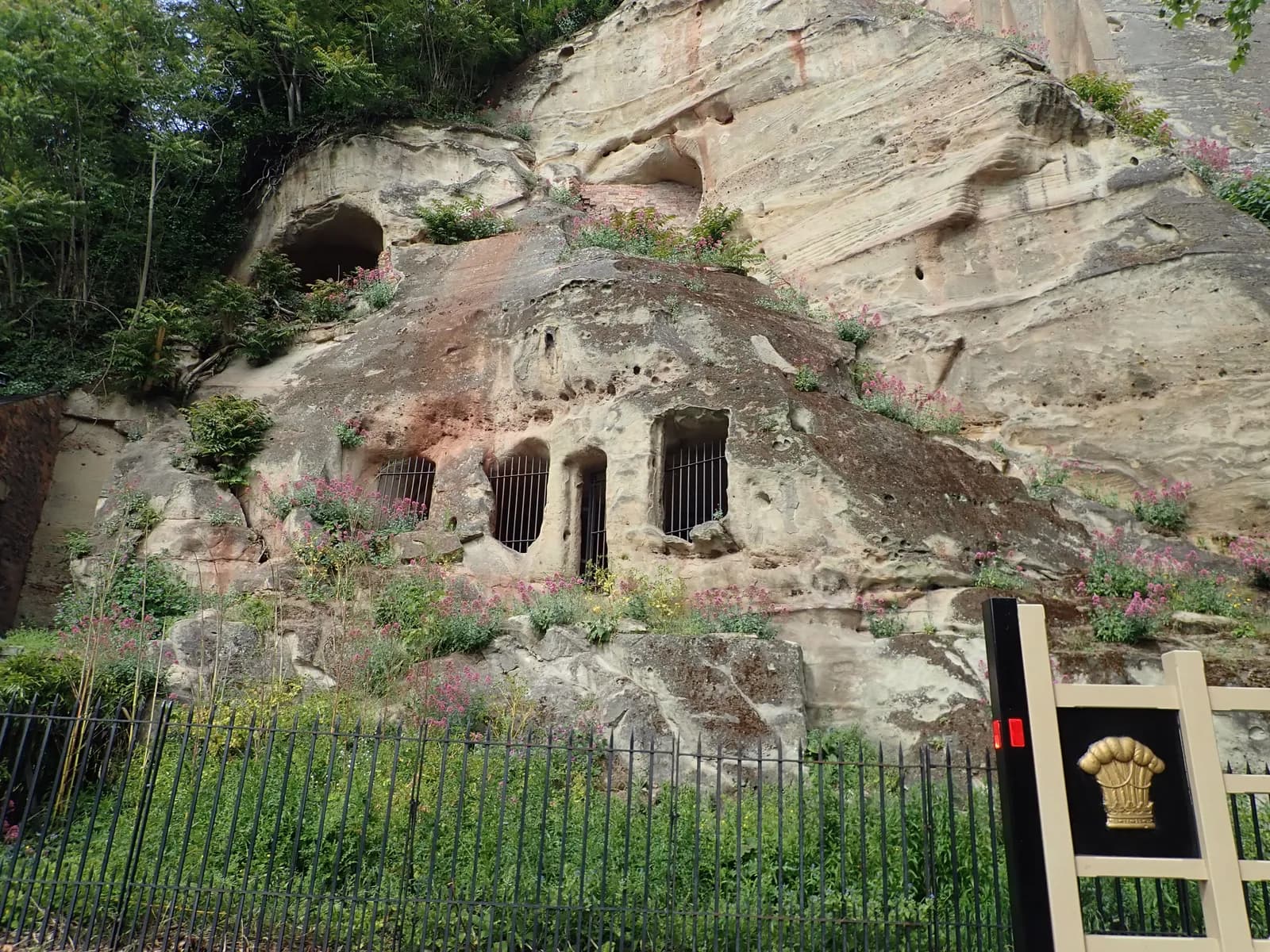 Caves carved into a rocky hillside, overgrown with foliage and small pink flowers, with grates visible in some cave openings.