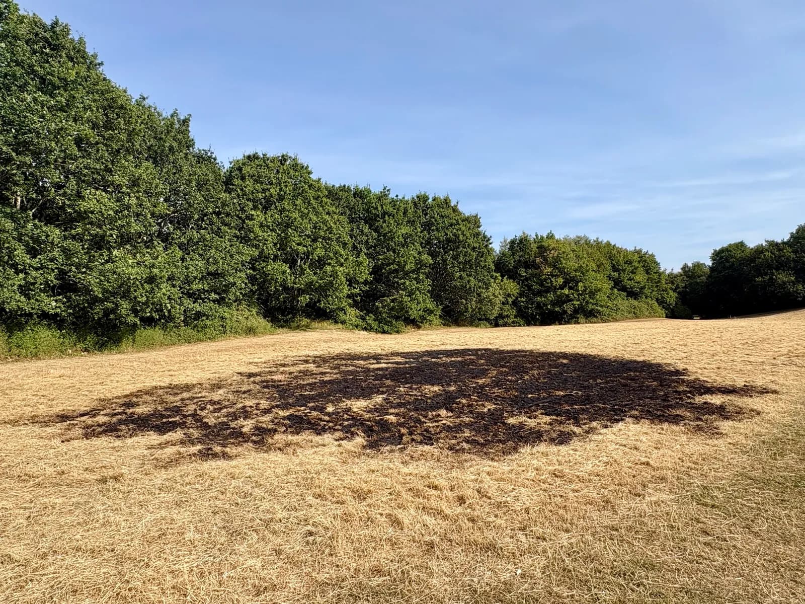 A scorched area of ground sits in a field of dry, yellow grass with green trees in the background under a blue sky.