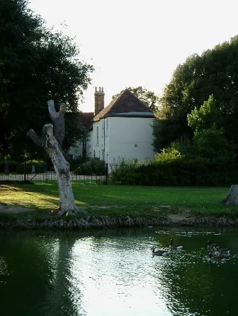 A scenic view shows a white building with a red roof partially hidden behind lush green trees and a weathered tree trunk on the left, overlooking a tranquil pond with several ducks swimming on its surface.