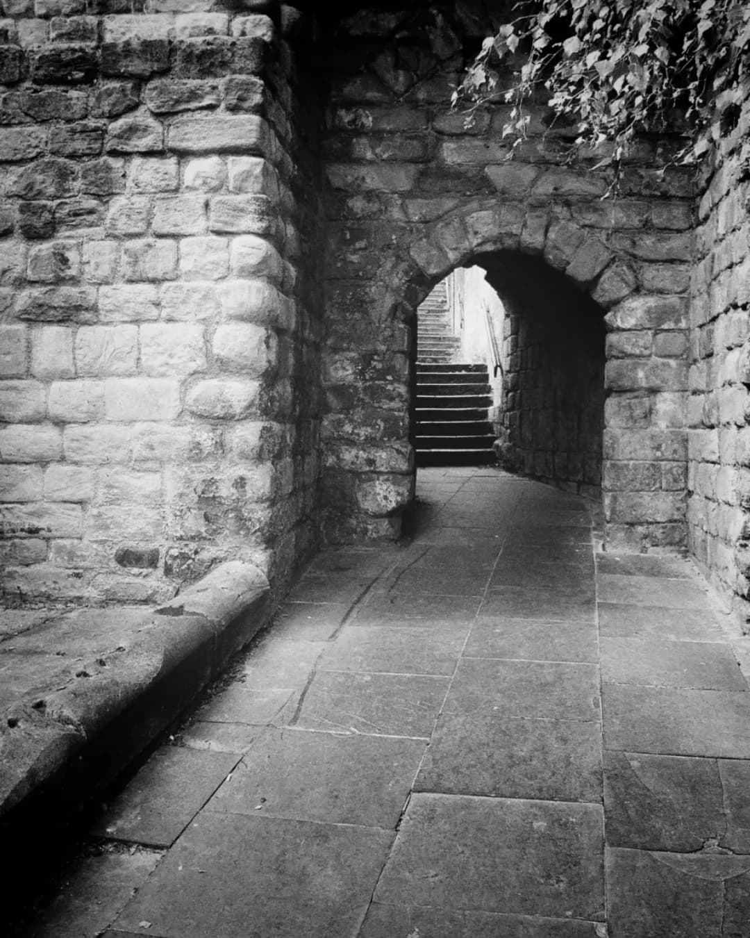 A black and white image shows a stone archway leading to a set of stairs, with ivy growing from the top right.