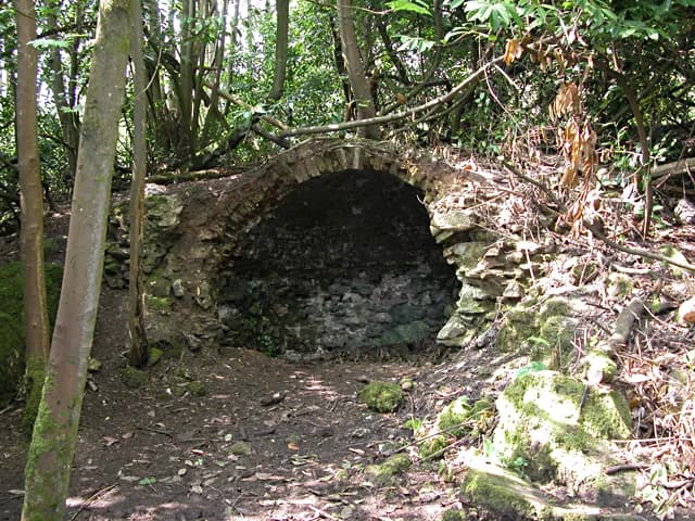 A dark, arched stone and brick cave entrance covered in moss and surrounded by dense forest foliage and thin tree trunks.