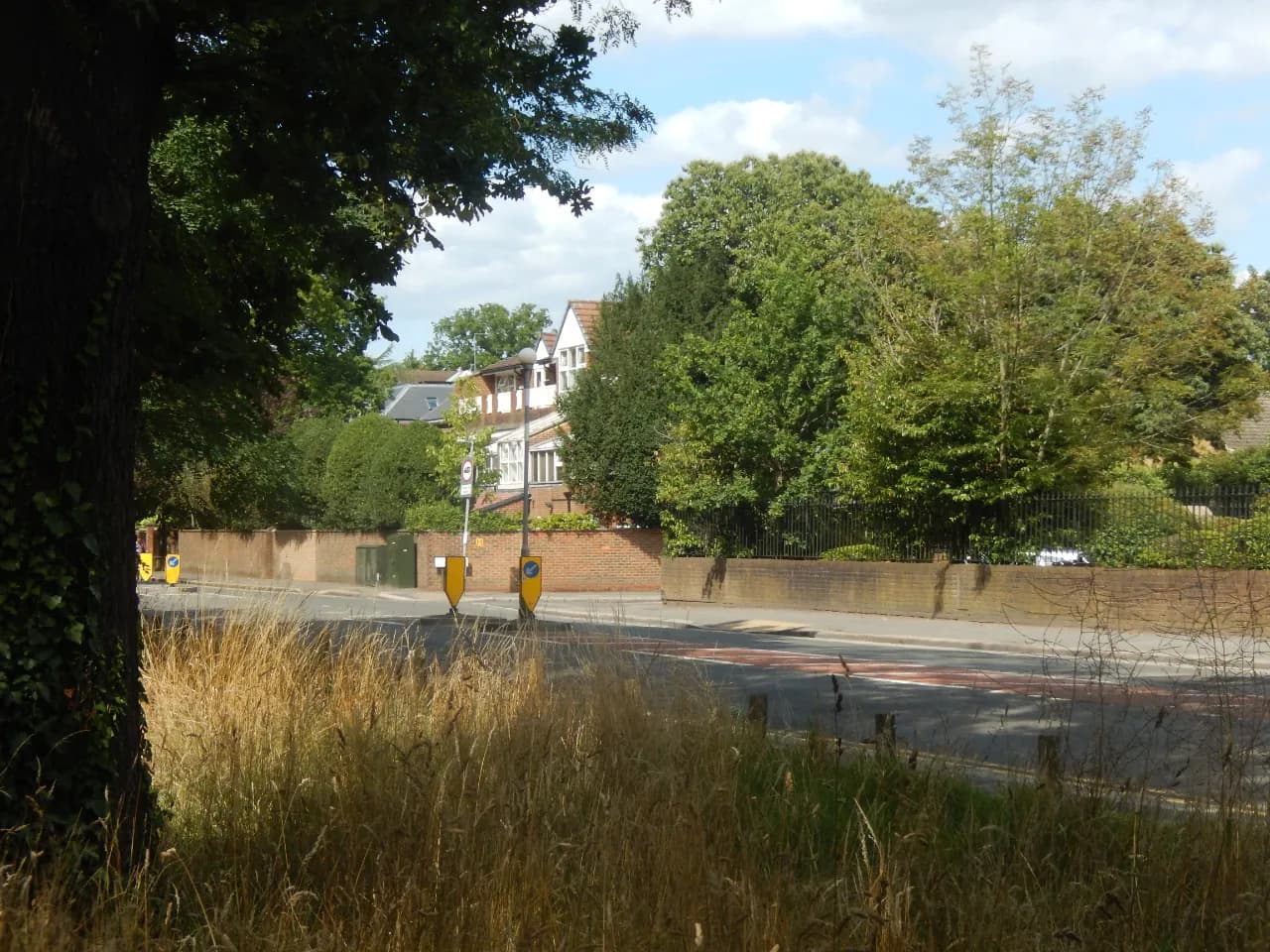 A street view with houses nestled behind fences and green trees on the right, and a large tree trunk with overgrown grass in the foreground on the left.